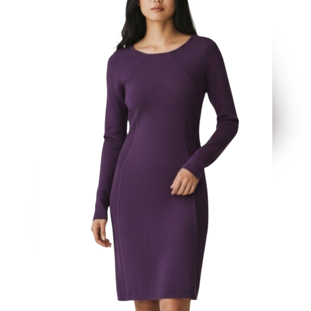 Lauren Ralph Lauren XS Long Sleeve Bodycon Sweater Knit Purple